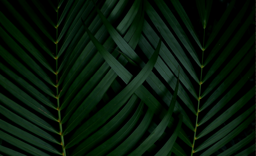 inner_01_02 https://mayfair.rainbowproperties.in/wp-content/uploads/2020/03/inner_01_02.png